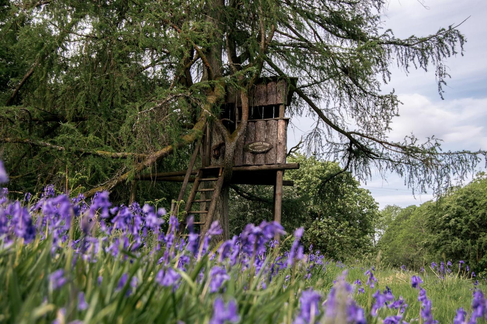Wild Boar Estate Hotel Bowness-on-Windermere Luaran gambar