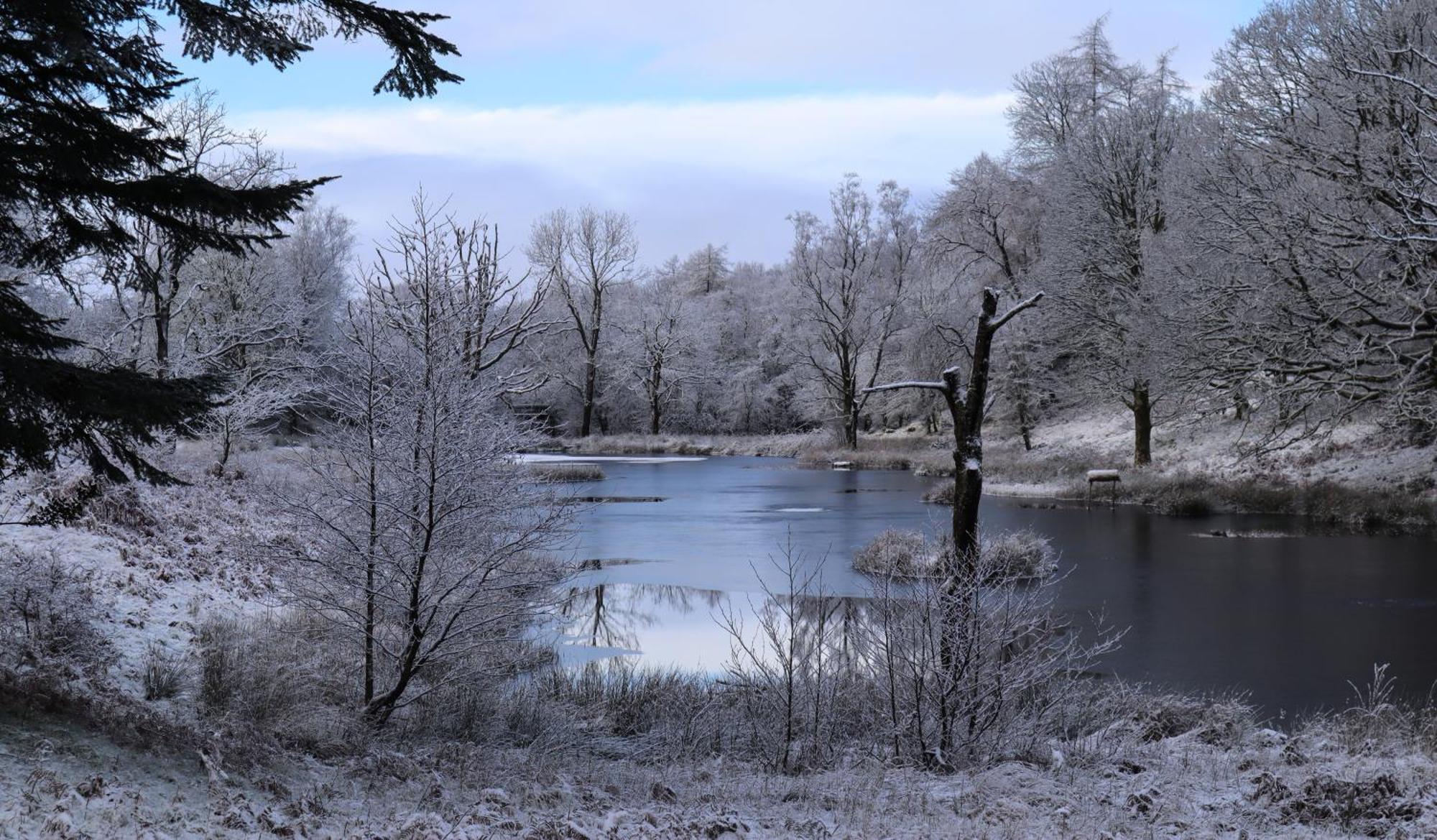 Wild Boar Estate Hotel Bowness-on-Windermere Luaran gambar