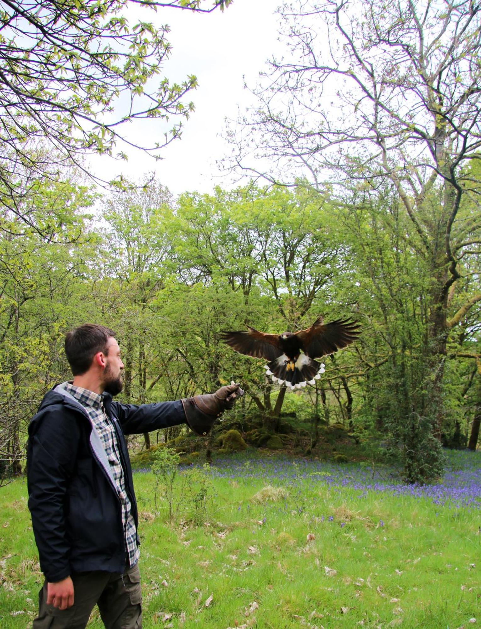 Wild Boar Estate Hotel Bowness-on-Windermere Luaran gambar